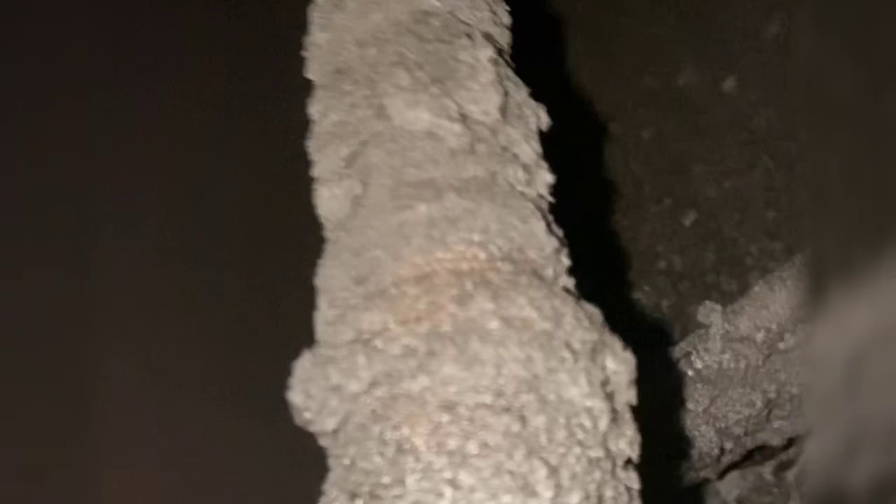 Kitchen hood cleaning chicago dirt job
