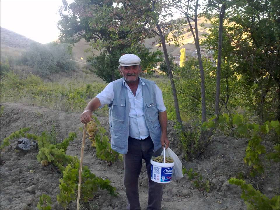 çayan köyü
