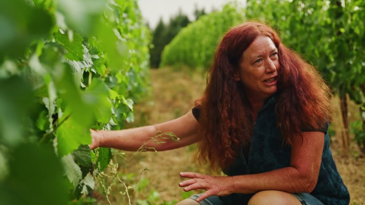 Nature, Animals & Soil – How Regenerative Farming Powers Wine