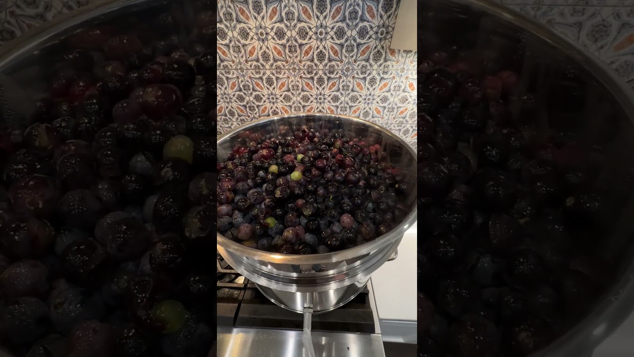 Steam Juicer #canning #steamjuicer #grapejuice #fruitjuice