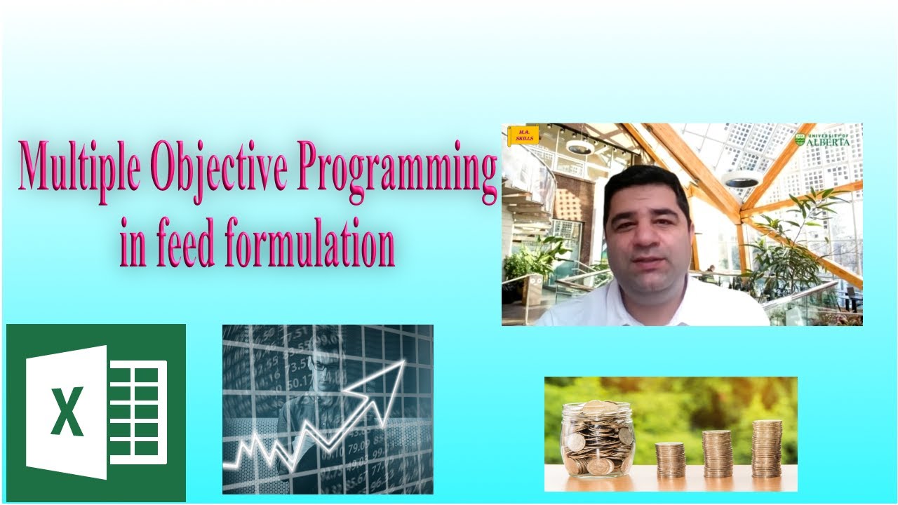 Multiple Objective Programming Feed Formulation for animals