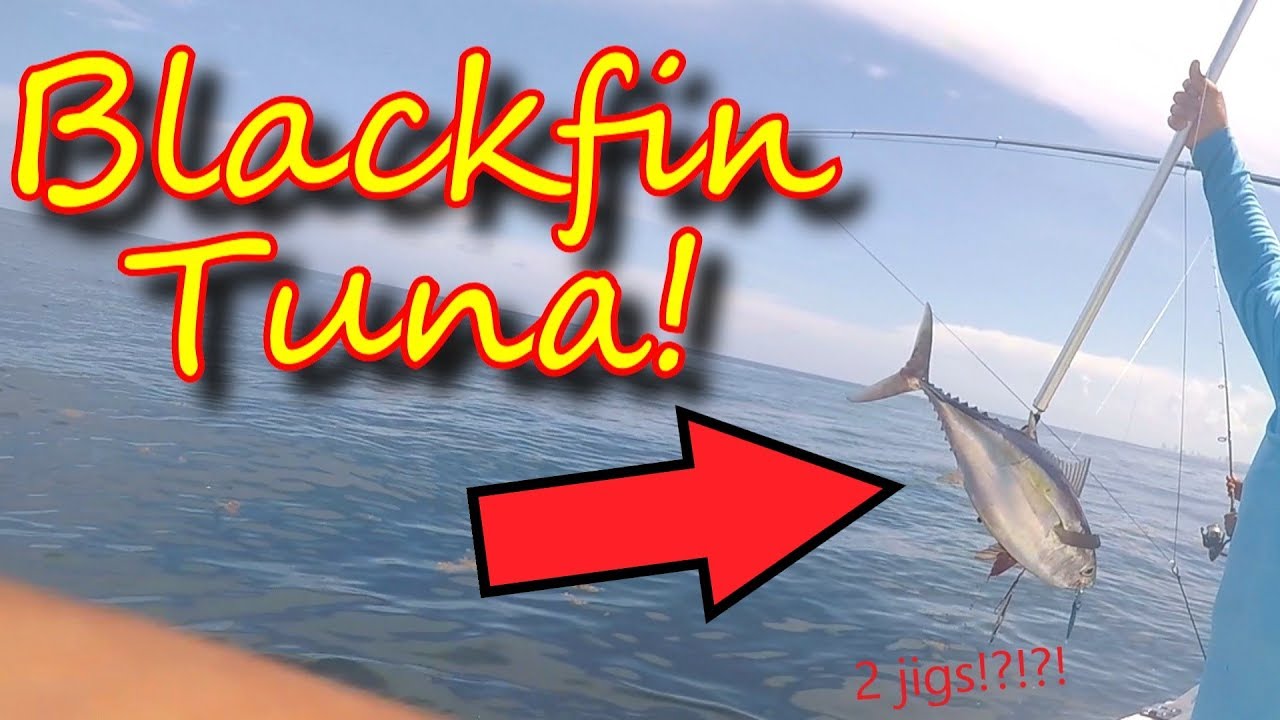 Deep sea fishing Miami Florida! (Tuna caught)