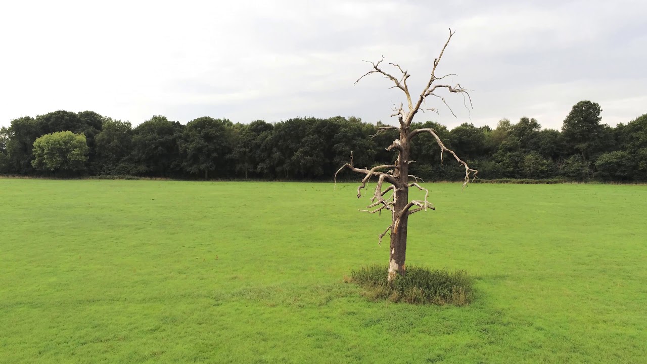 Esher Common - Aerial 4K drone footage