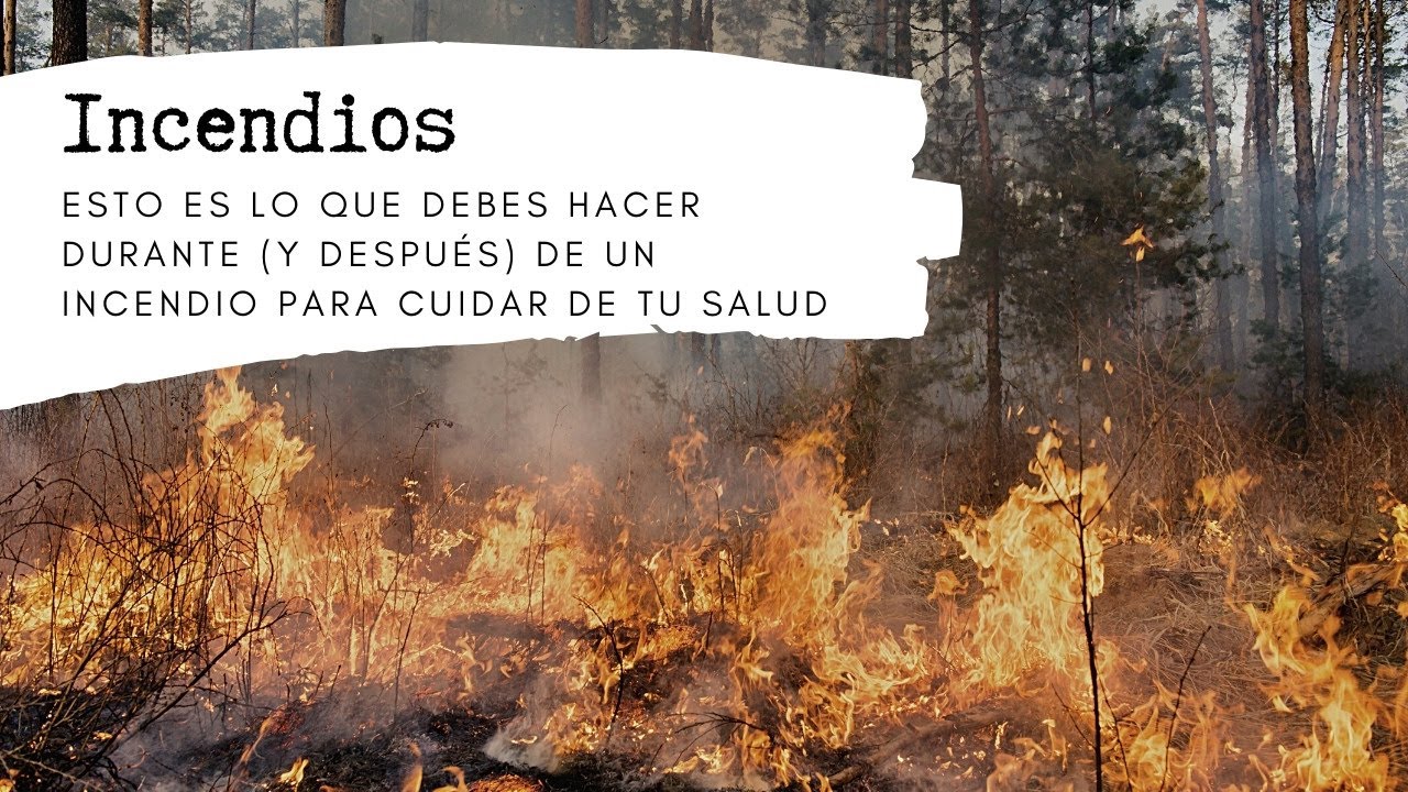 INCENDIOS: las Secuelas Invisibles que Nadie Cuenta (y cómo protegerte)