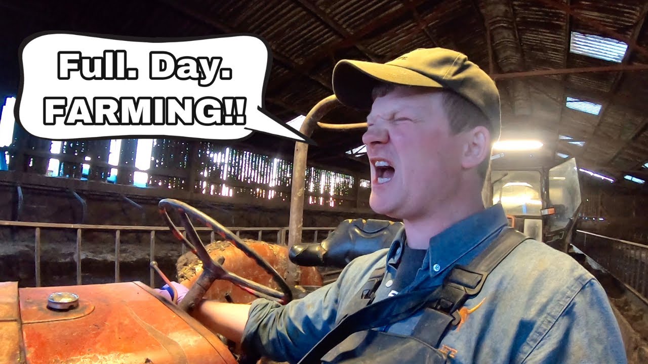 YOUNG FARMERS MORNING ROUTINE... LIFE BEFORE THE SHED !