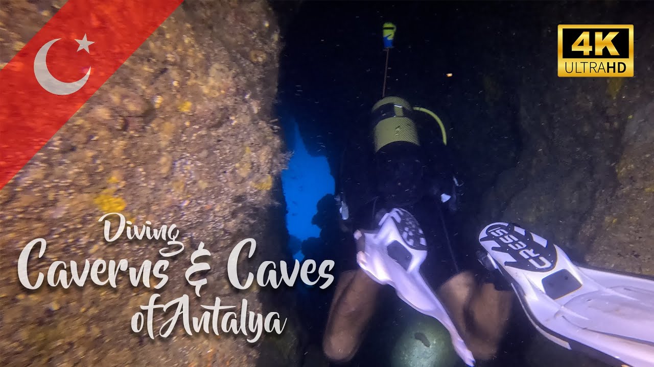 We found a Monk Seal while diving a cavern system in Antalya. Diving Turkey 2024 in 4K | DiveScapeTV