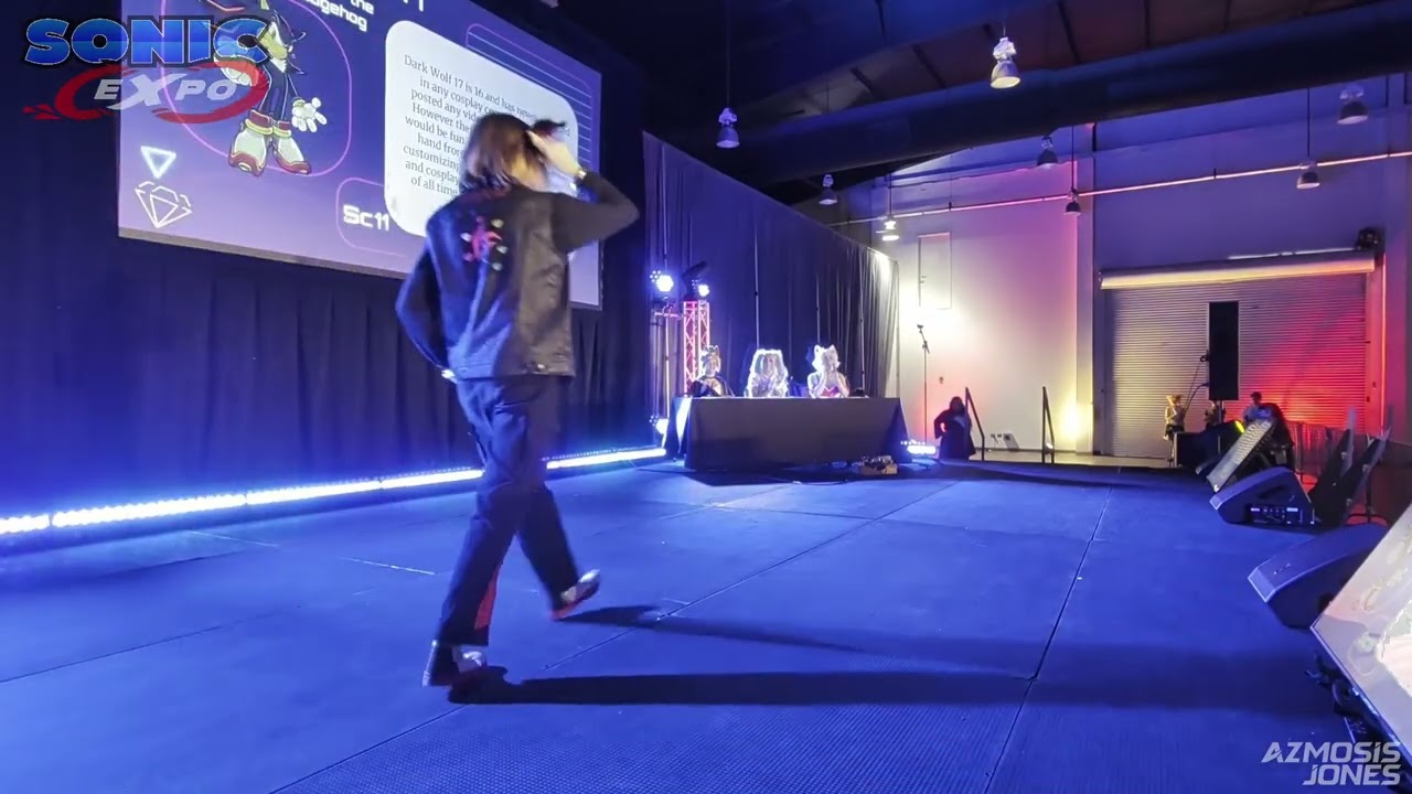 Sonic Expo Dallas 2025 Cosplay Contest
