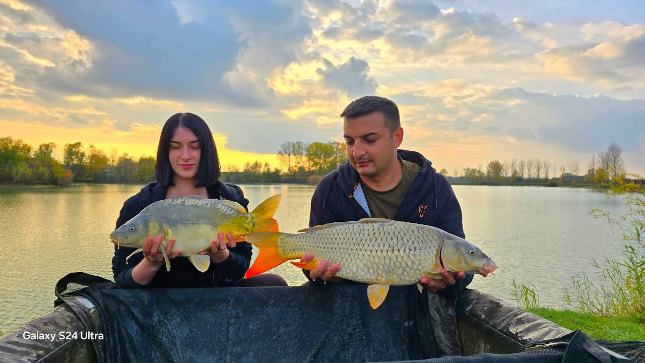 Bajer Bizovac- 30 riba u 8 sati pecanja, šaran 21,50 kg