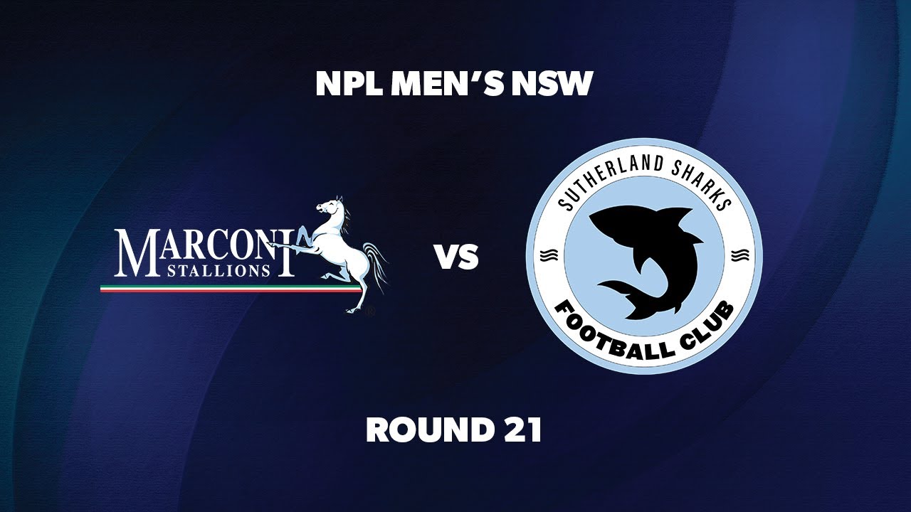 NPL Men’s NSW Round 21: Marconi Stallions FC v Sutherland Sharks FC
