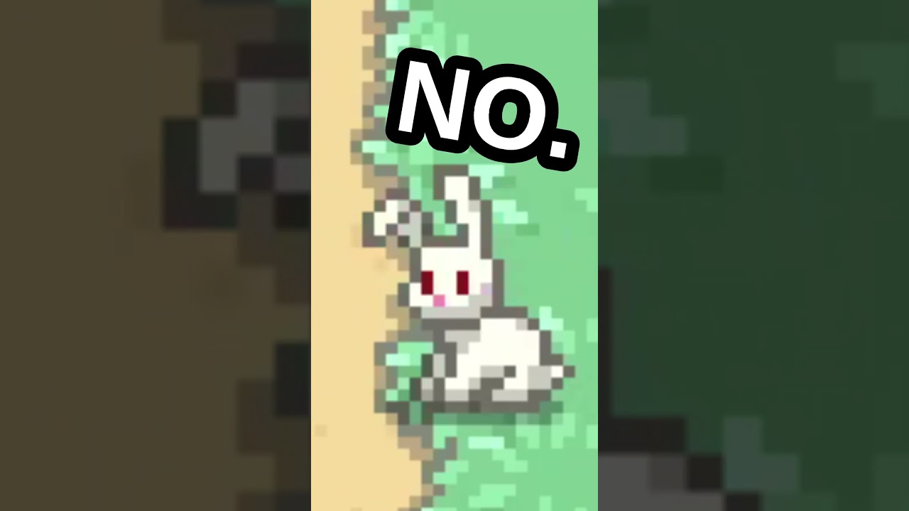 😂the rabbit said no!!😂😂😂 