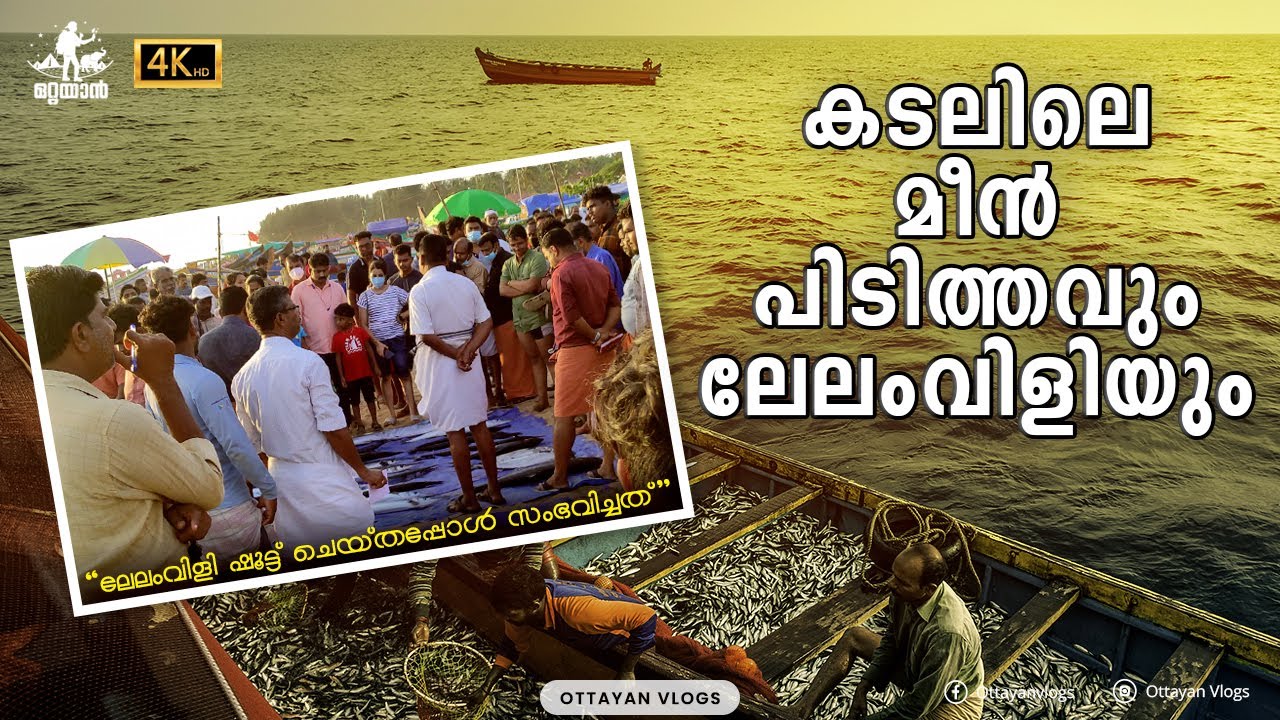 കടലിലെ മീൻ പിടിത്തവും ലേലംവിളിയും.I Chavakkad Beach I#trending  #kerala #youtubesearch #numberone
