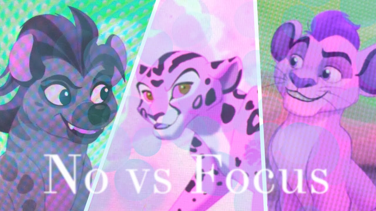 No vs Focus-TLG