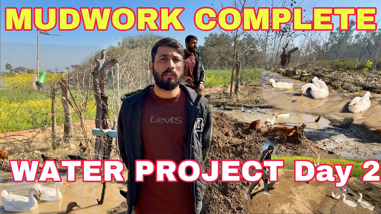 Water Project MUDWORK Completed 👍 | Ducks Happy 😆 | Mr Asad