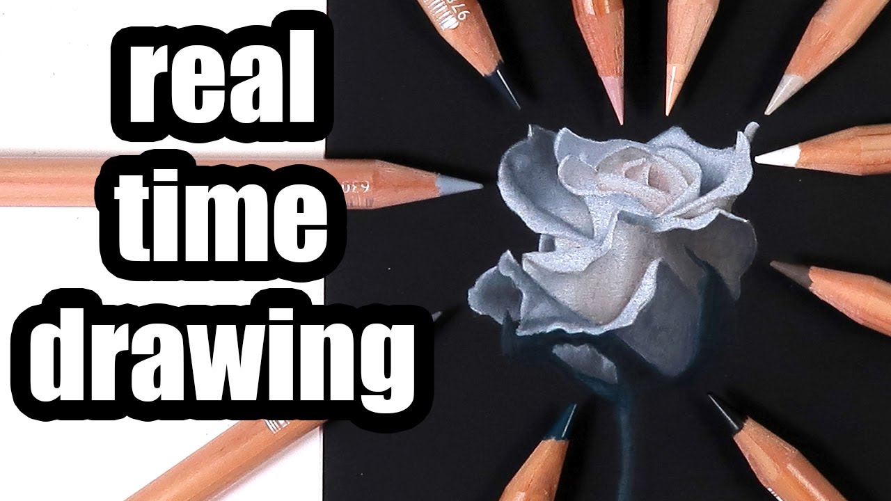 How to draw a white rose: color pencils on black paper drawing demonstration
