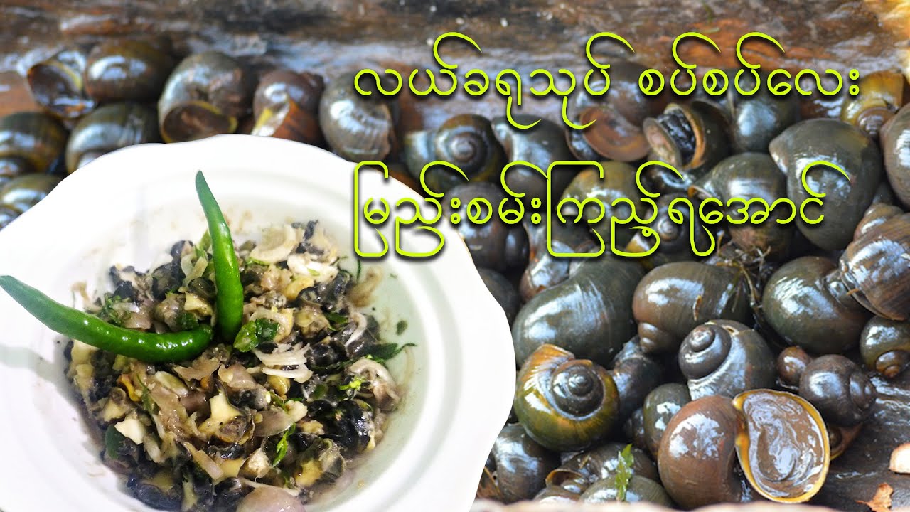 လယ်ခရုသုပ် (Snail Spicy Salad)