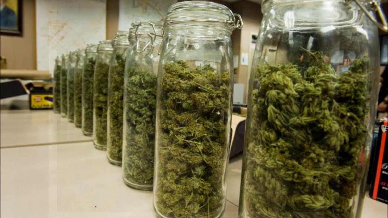 Como fazer um Secador de Maconha Caseiro
