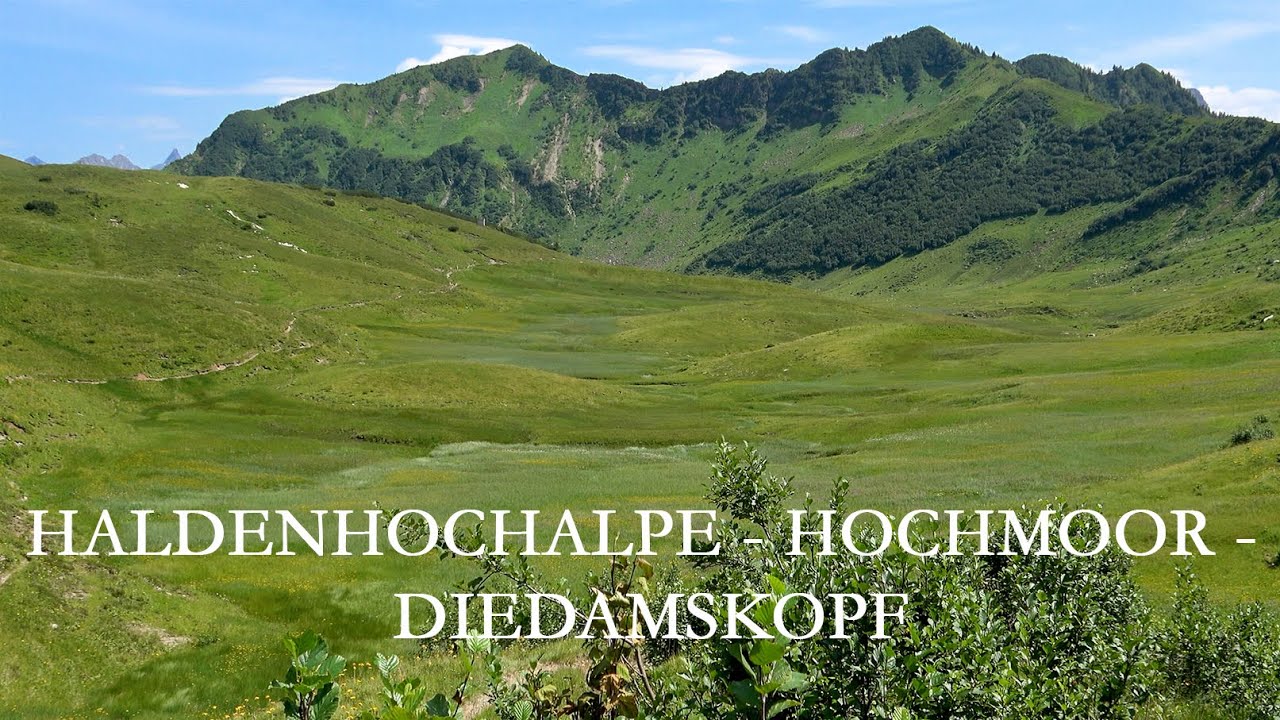 Diedamskopf: Halderhochmoor - Halderhochalpe