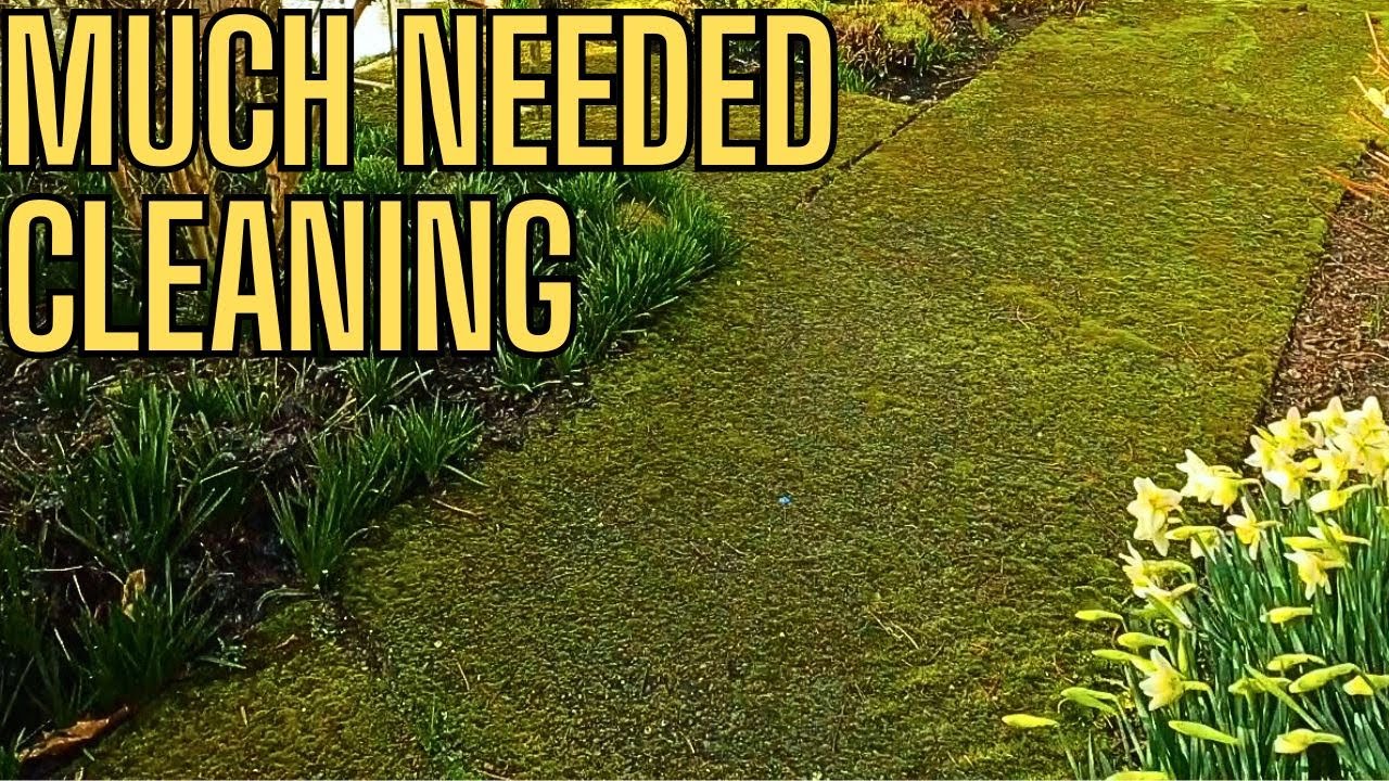 No More Moss On This Little Entry!, #asmr, #pressurewashing, #satisfying, #drivewaycleaning ,