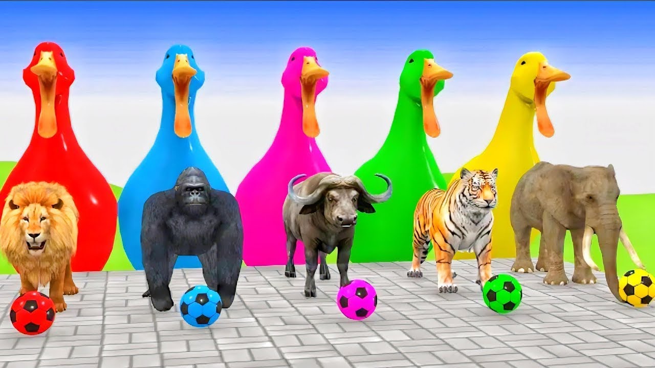 Epic Animals Obstacle Course 3D Game Funny 3D Animals Challenge