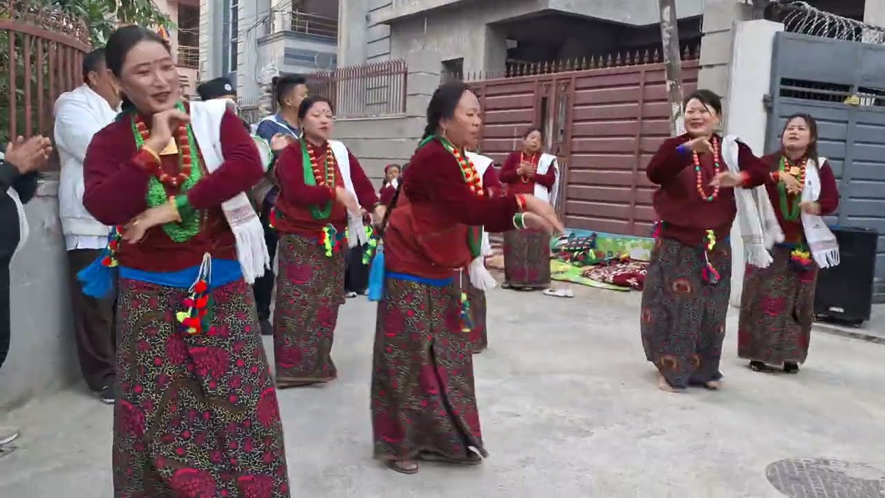 Deusi bhailo 2082, Chari Basyo || Aandhikhola Tamu Samaj Kathmandu
