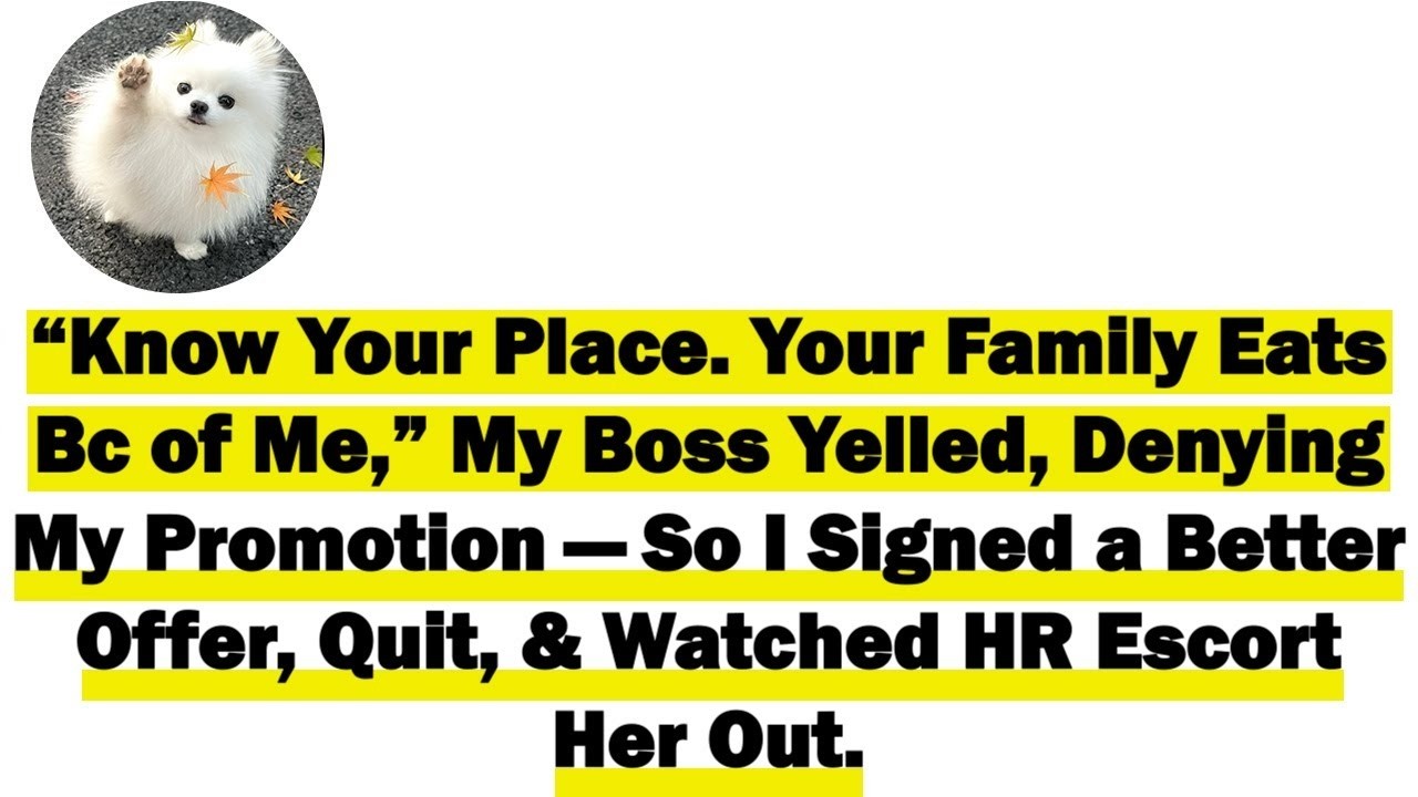 “Know Your Place  Your Family Eats Bc of Me” My Boss Yelled, Denying My Promotion—So I Signed a Bett
