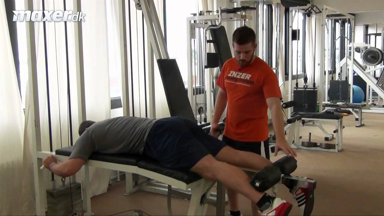 Maxer.dk: Leg curl - Tr&aelig;n dine bagl&aring;r med leg curls og l&aelig;r den simple teknik her