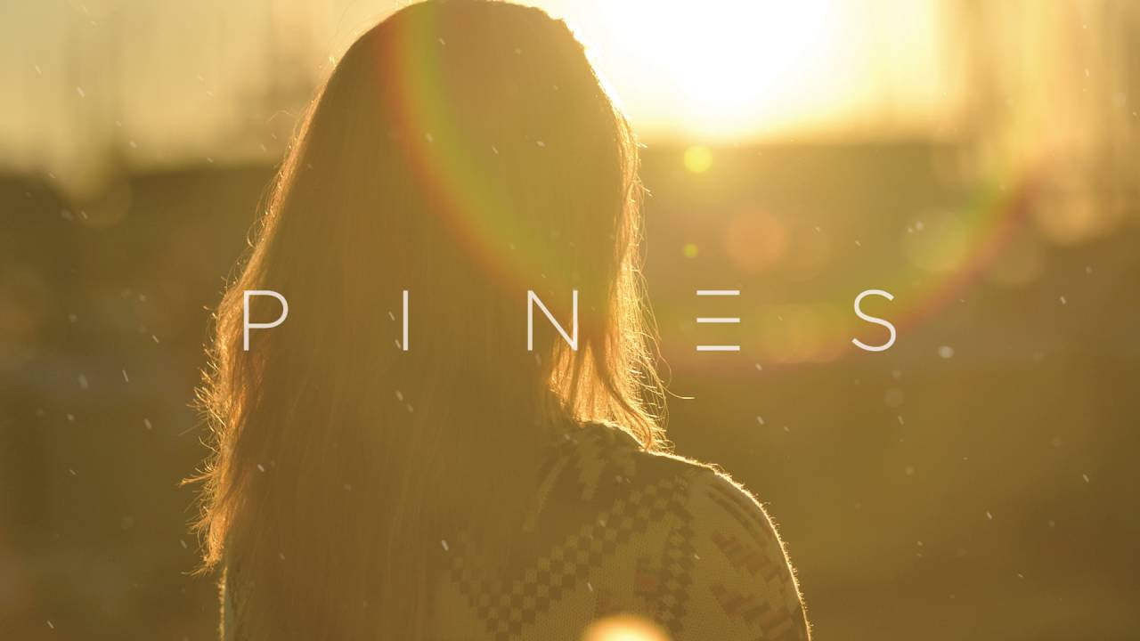 PINES - Calling You