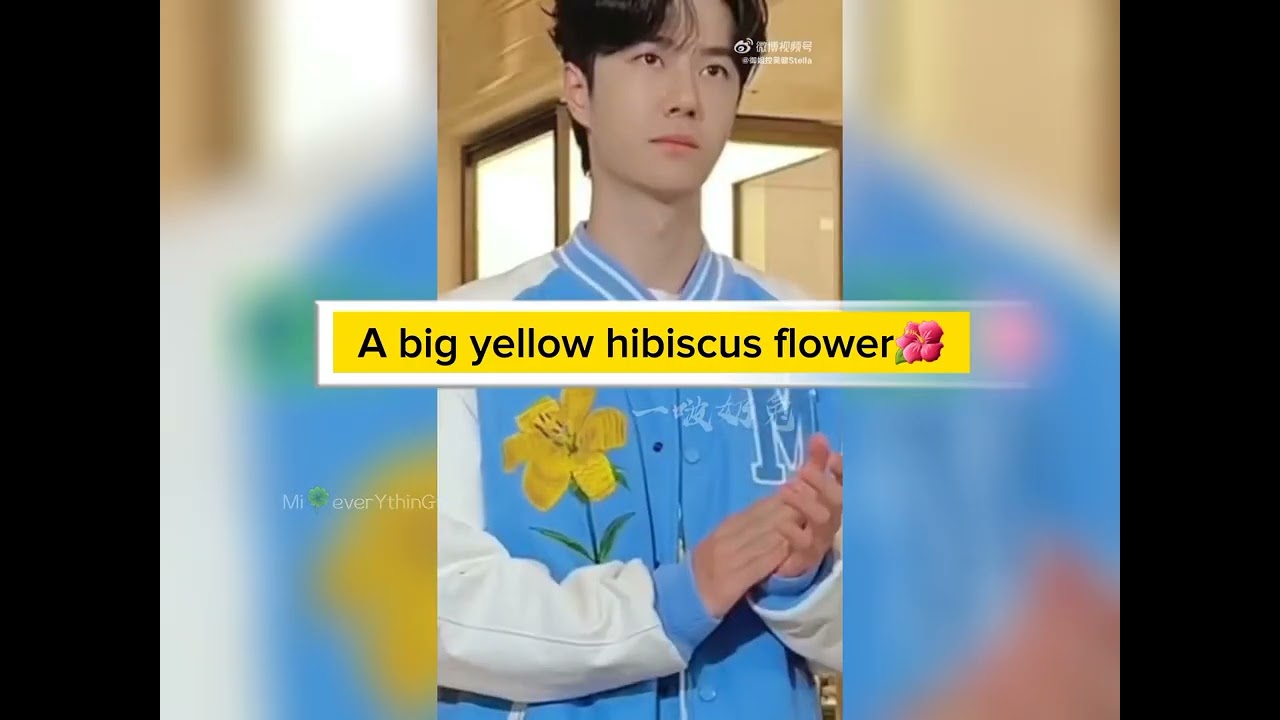 He never stop mentioning my age! - Xiao Zhan🌺 🦁🐰💚❤️.