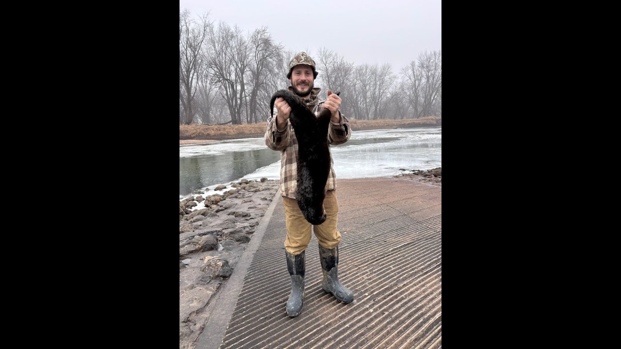 330 Beaver Trapping with Bonus OTTERS!
