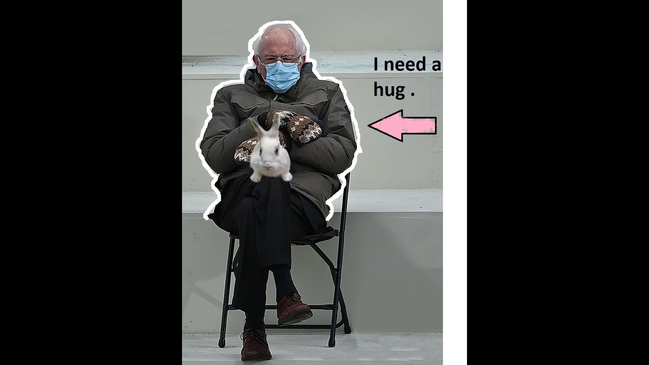 TOP 40 BEST BERNIE SANDERS CAPITOL MEMES in 3 Minutes