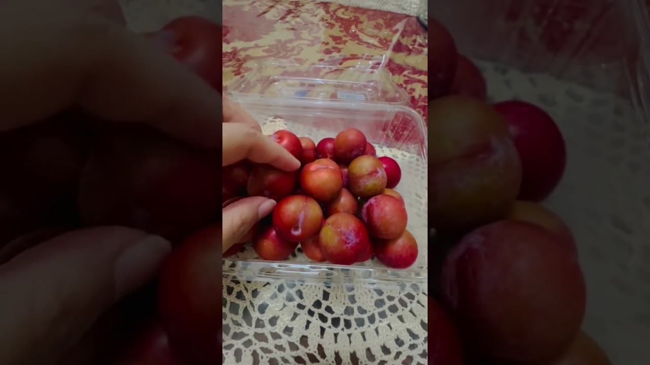 PRUNE | PLUM | FRUIT | 
