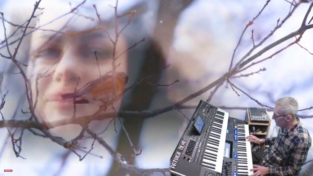 Mijn Winterroosje (cover)