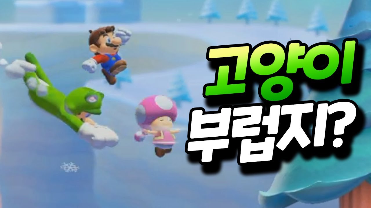 먼저 간 애들은 고양이 없죠 ㅋㅋ 엄청 부러울 듯ㅎ [플러리 슈퍼 마리오 메이커 2 함께 배틀]