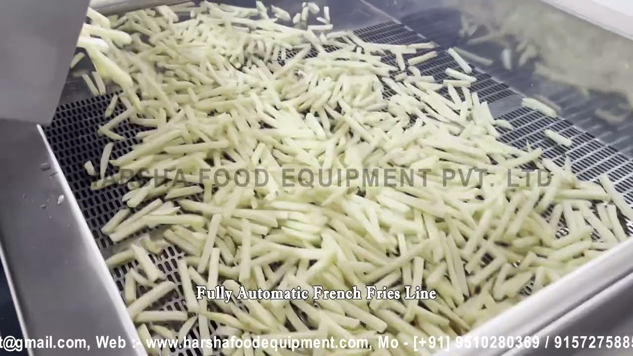 Fully Automatic French Fries Line - HARSHA FOOD EQUIPMENT PVT.LTD