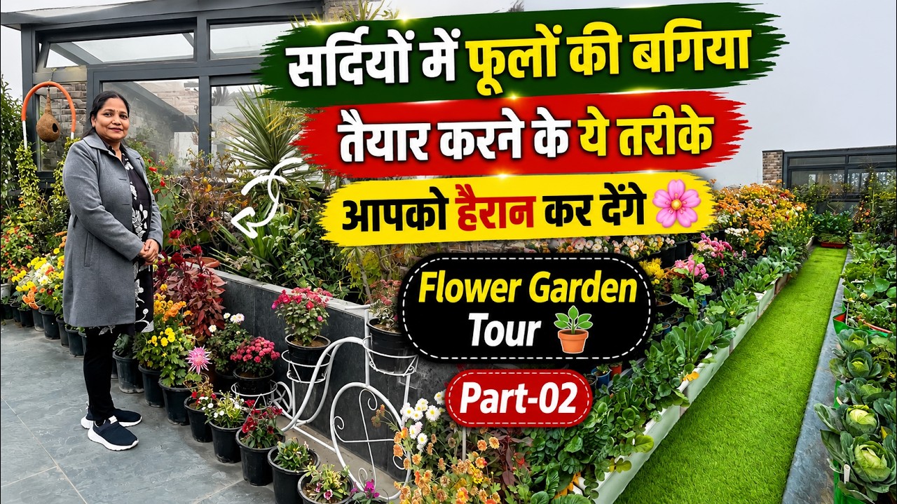 सर्दियों में फूलों की बगिया तैयार करने के ये तरीके आपको हैरान कर देंगे 🌸 Flower Garden Tour 🪴Part-02