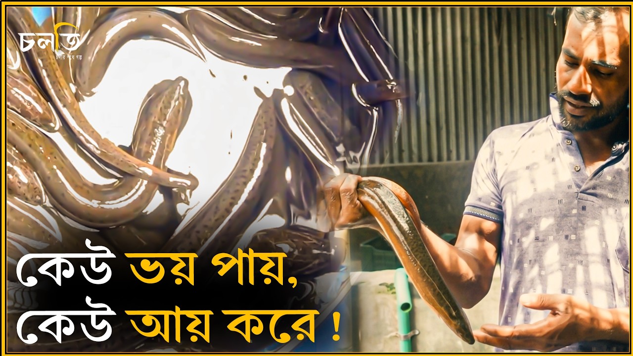 দেখতে সা'পে'র মতোন, কেউ কেউ কিনেও খাচ্ছে? | চলতি