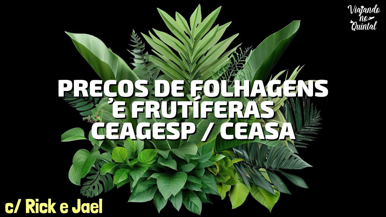 💰 Preços de Folhagens e Frutíferas no CEAGESP  - Atualização e Dicas de Compra!