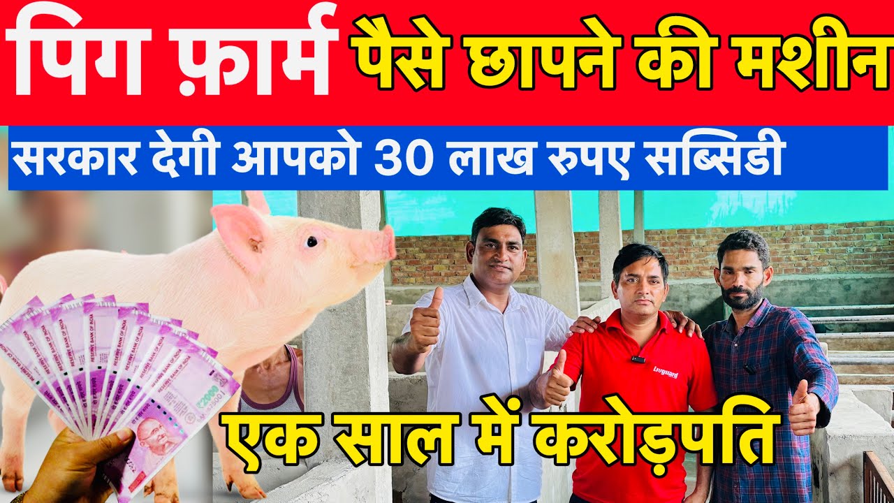 Pig Farming : पिग फ़ार्म - NLM Scheme 30 Lakh Susbidy Full Detail by Nisar Indian