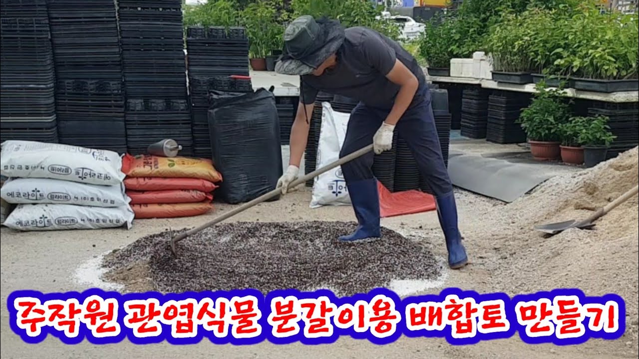 주작원의 관엽식물 분갈이용 배합토 만들기 그 과정을 공개합니다