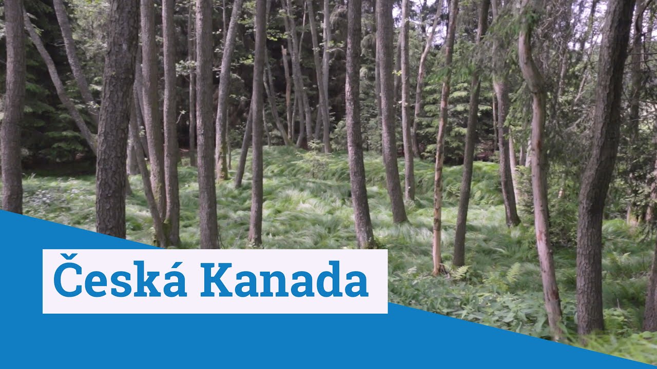 Česká Kanada - Cestujeme #SkrzCesko