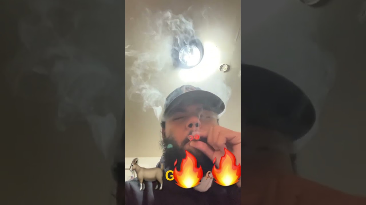 2 backwoods🔥🔥💯‼️#backwoodslife smoke session 😂😂
