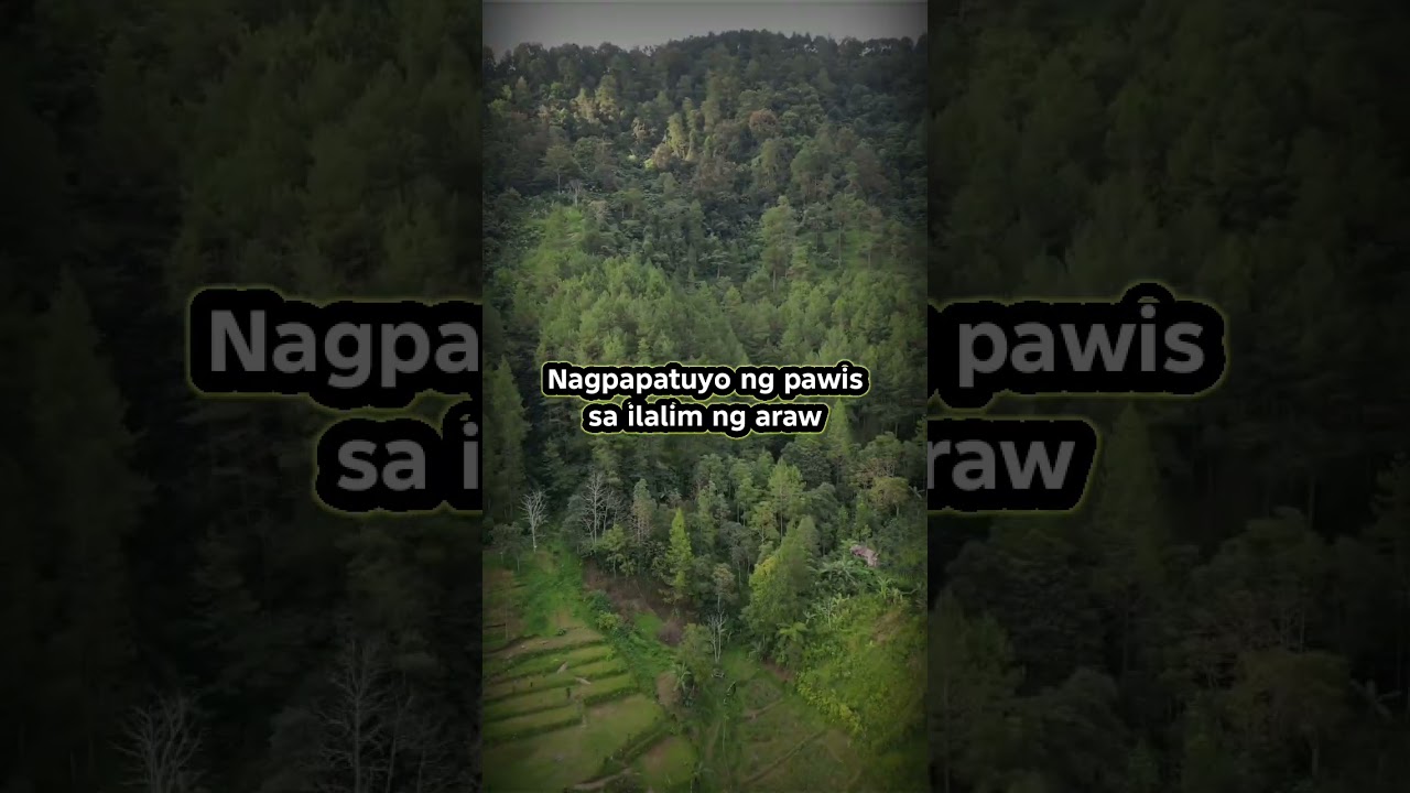 BAYAN KONG MAHAL (composed by; Kyohey Official) 