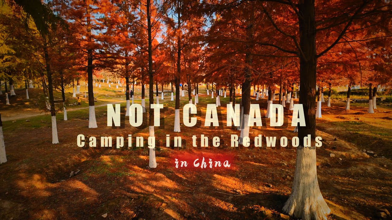 This is NOT Canada. Camping in the Redwoods in China.