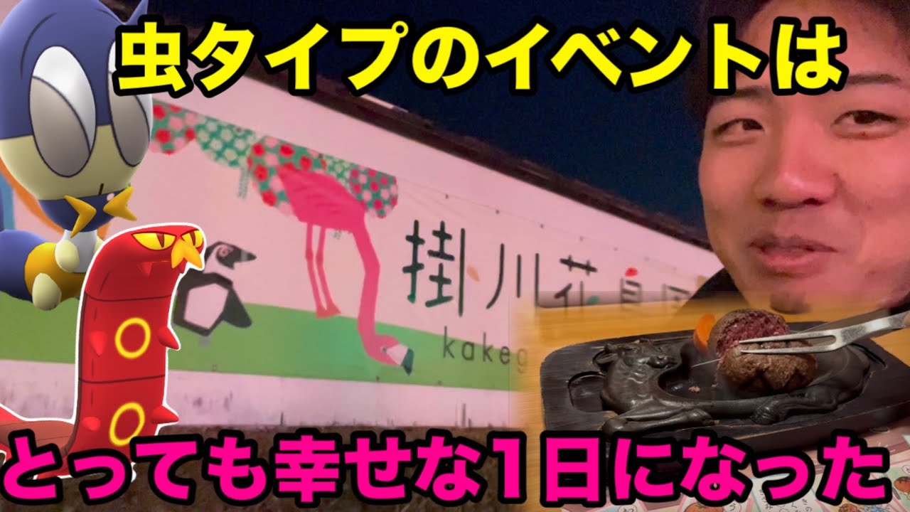 【ポケモンGO】静岡でサッチを察知して幸【虫タイプポケモンのイベント】