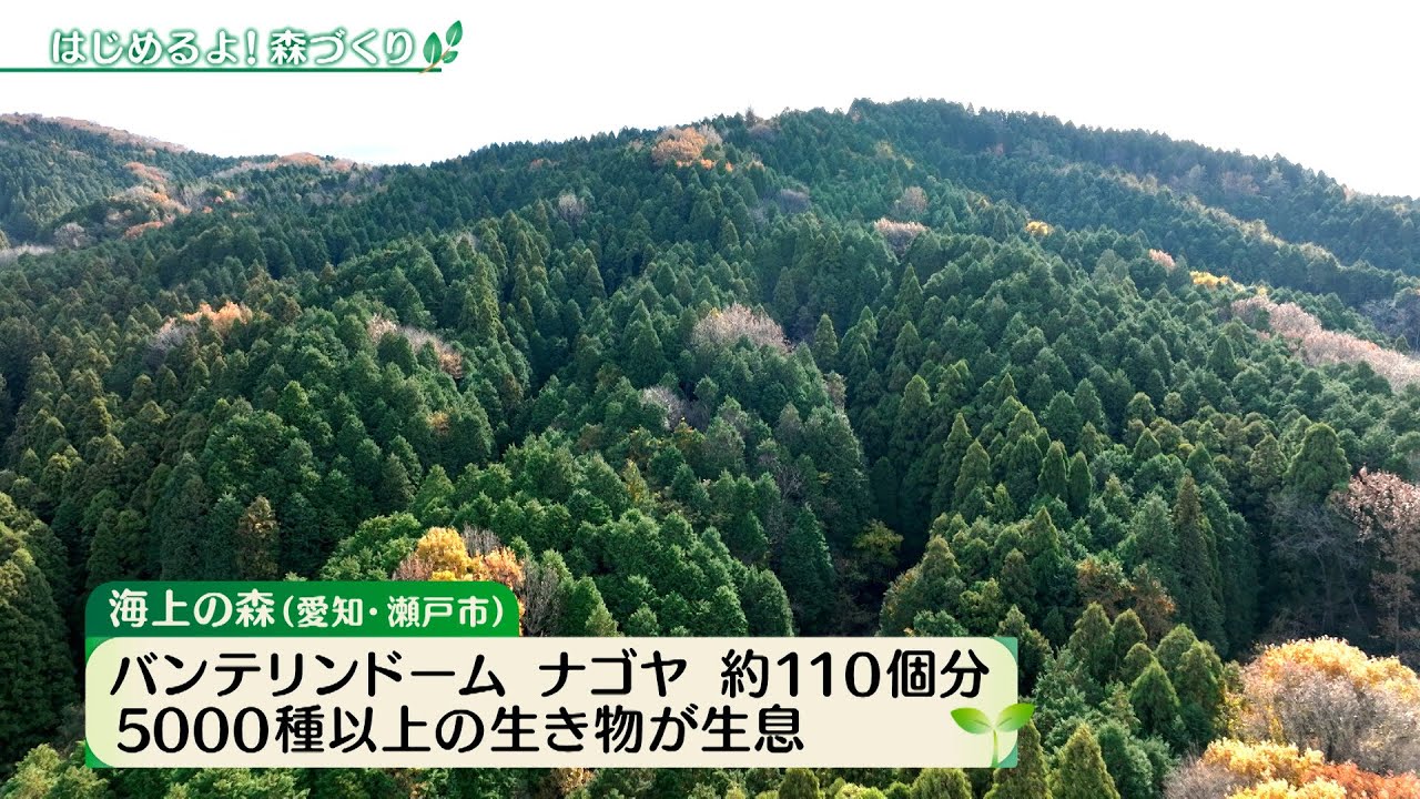 はじめるよ！森づくり【アプデの森】