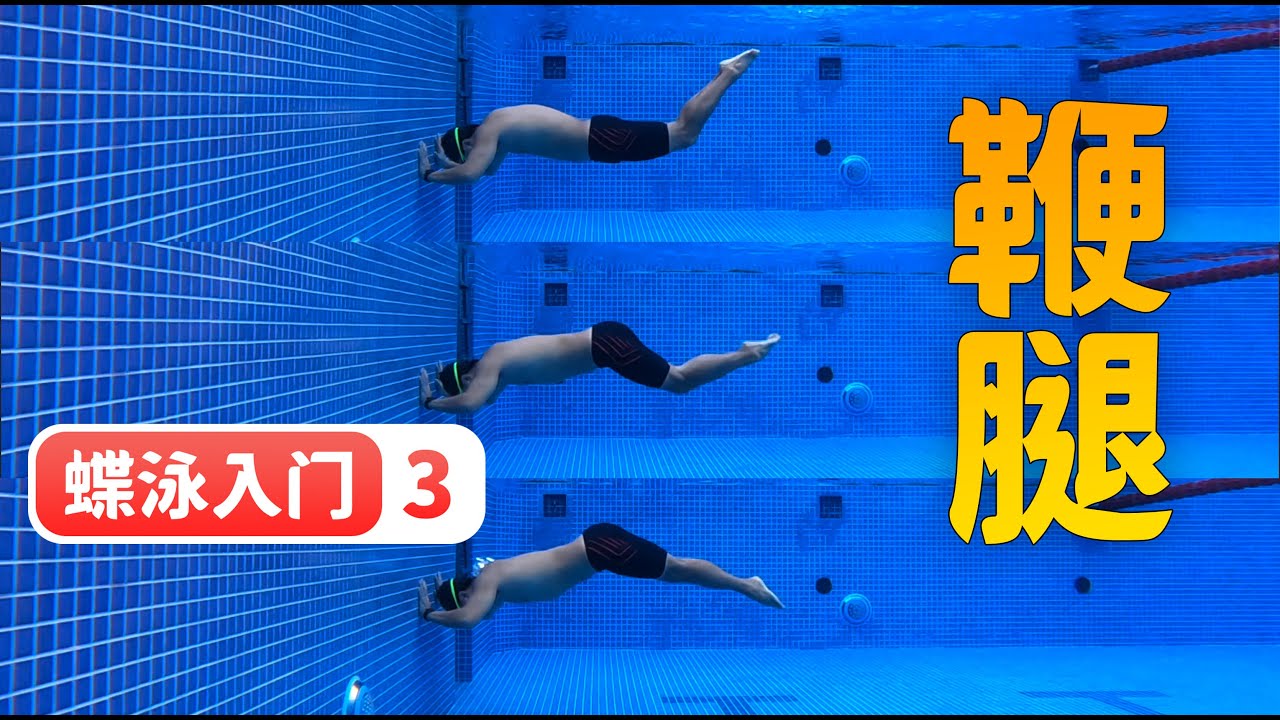 【蝶泳入门】3.鞭腿的动作到底该怎么做？｜梦觉教游泳