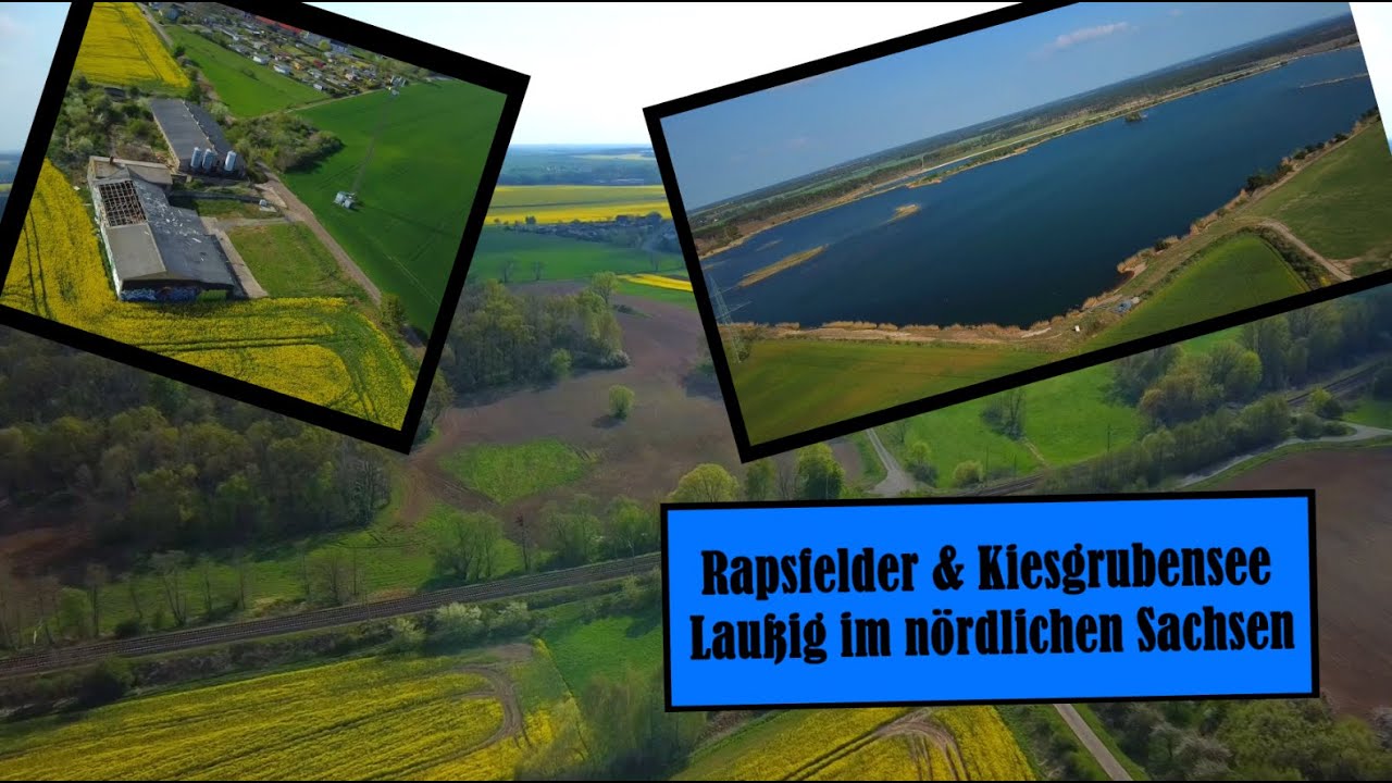 DJI Mini 2 - Rapsfelder und Kiesgrubensee Laußig, Sachsen