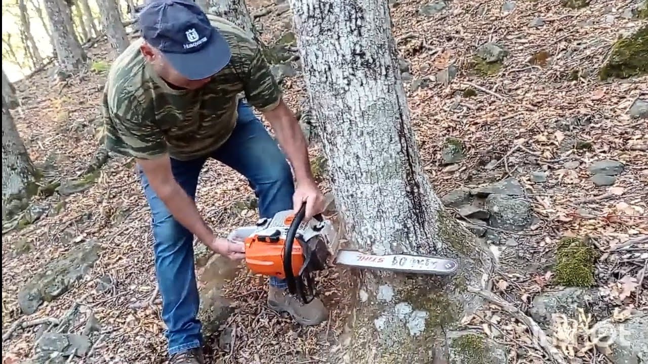 Stihl ms 261 ,  stihl 660 ....