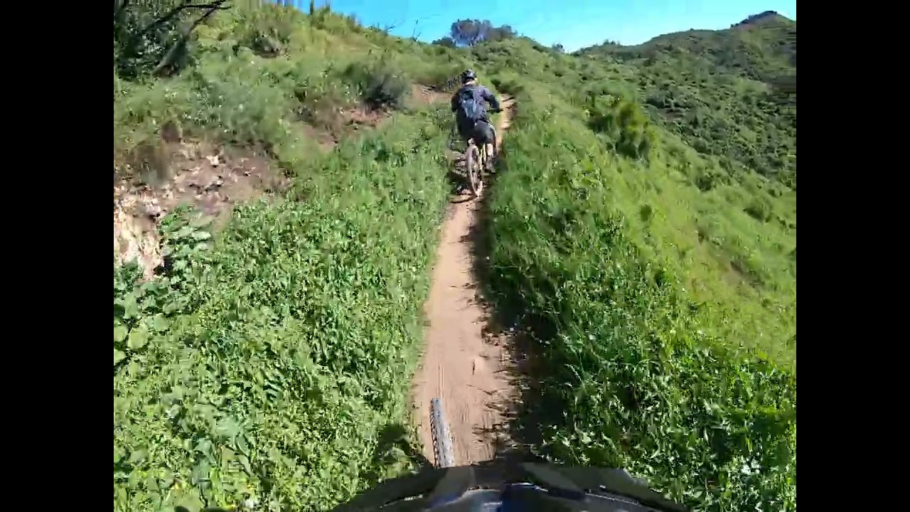 Pacific Palisades 1/27/25