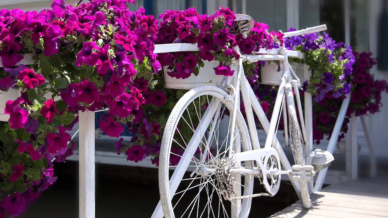 Folijarno djubrivo Morpho